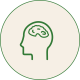 Brain