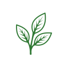 Leaf (2)